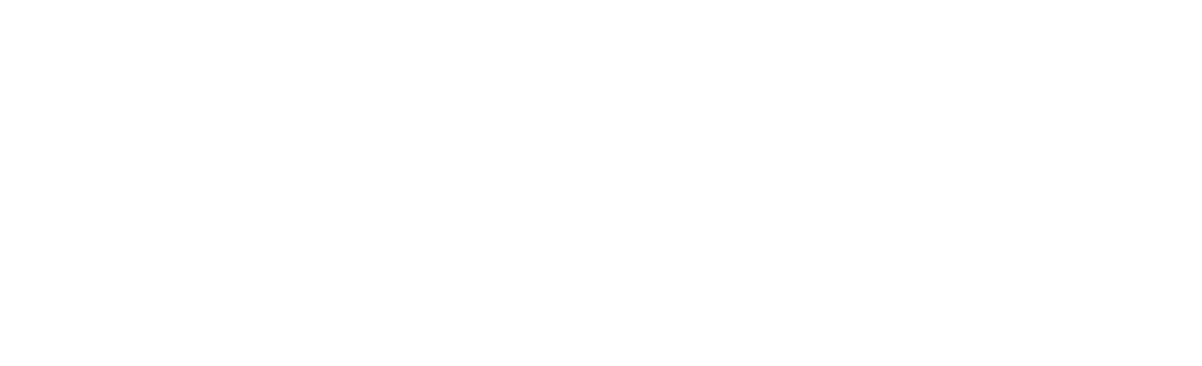 Techinfo, your talent partner